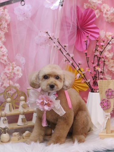 20240327モンチちゃん